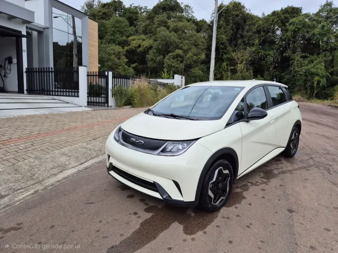 BYD Dolphin EV (Elétrico) 2024