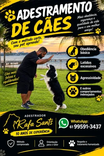 Adestramento de cães