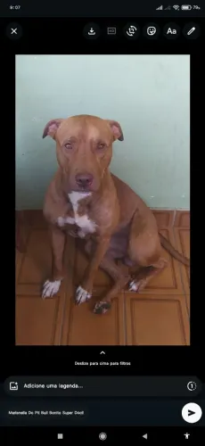 Aparareceu aqui e to doando