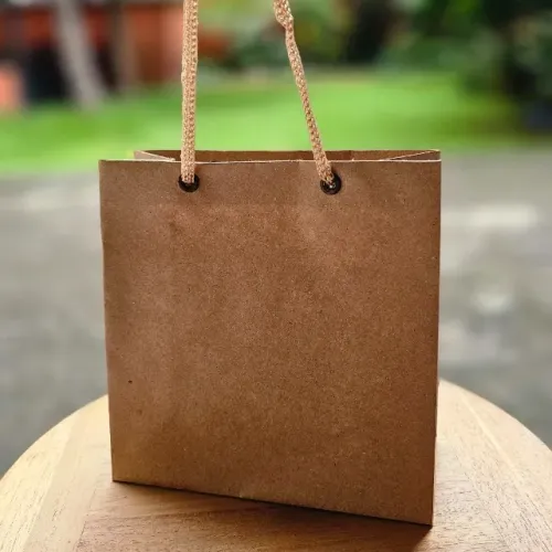 340 Sacolas Kraft 140 Gr - com Ilhós e Alça Cordão - Tamanho PP 16x16x7 - BARATO
