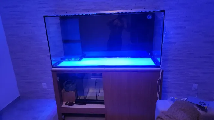 Aquário NOVO completo