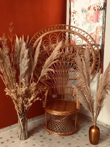 Cadeira Pavão - Oportunidade