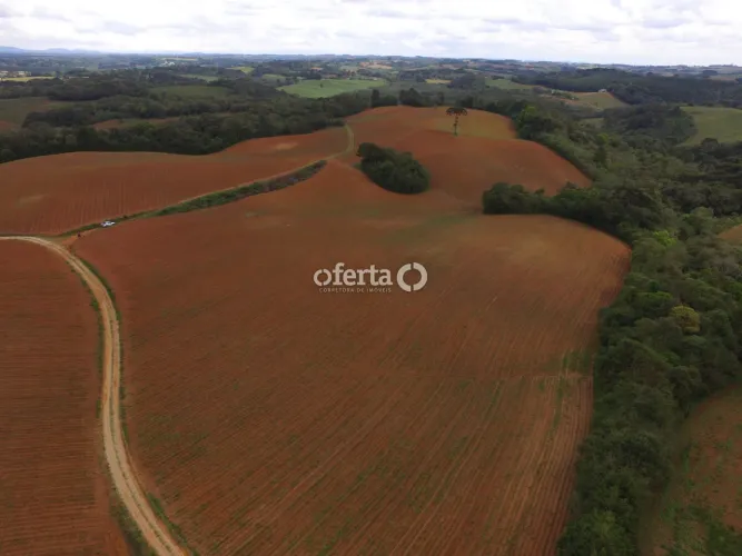 Chácara em Araucária com 19 alqueires