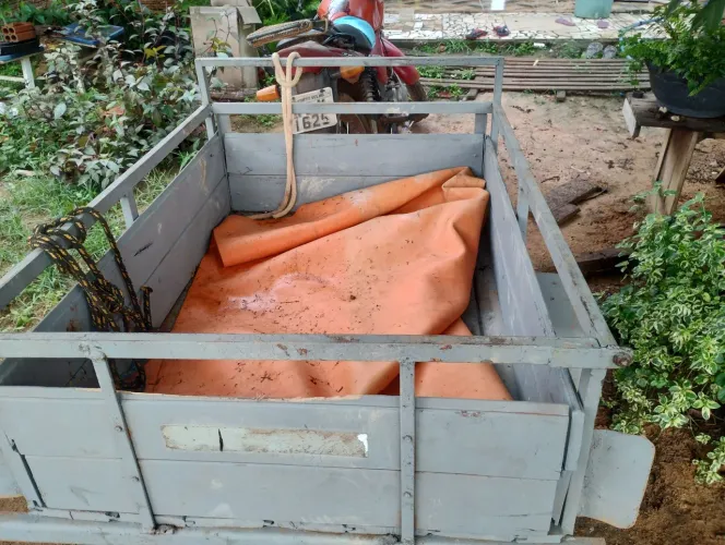 Serviços de limpeza de quintal