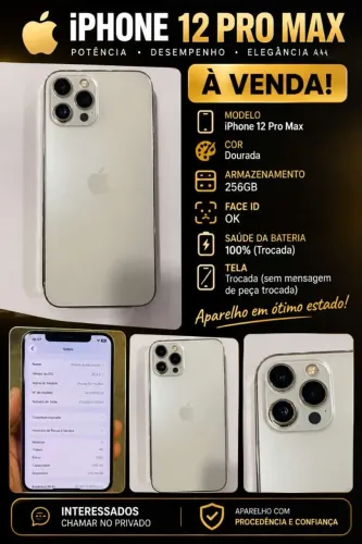 iPhone 12 Pro Max 256GB