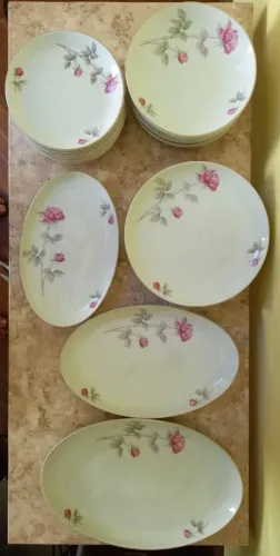 Aparelho de Jantar Porcelana Steatita Paraná - 30 Peças (Rosas e Ouro)