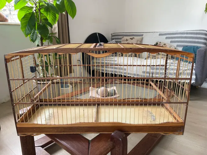 Voador para aves grandes
