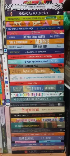 Lote de Livros Novos e Seminovos Variados - Ótimo Preço para Retirada