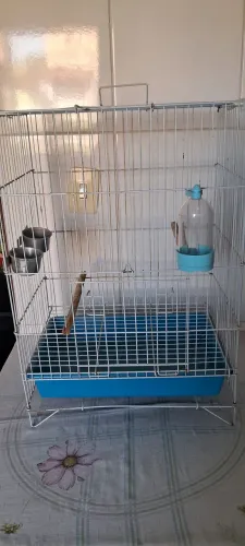 Vendo gaiola