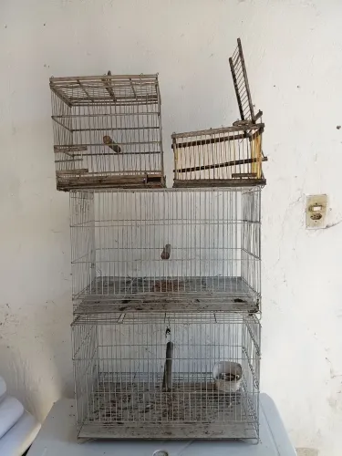 Vendo 4 gaiolas para periquito australiano - R$ 150