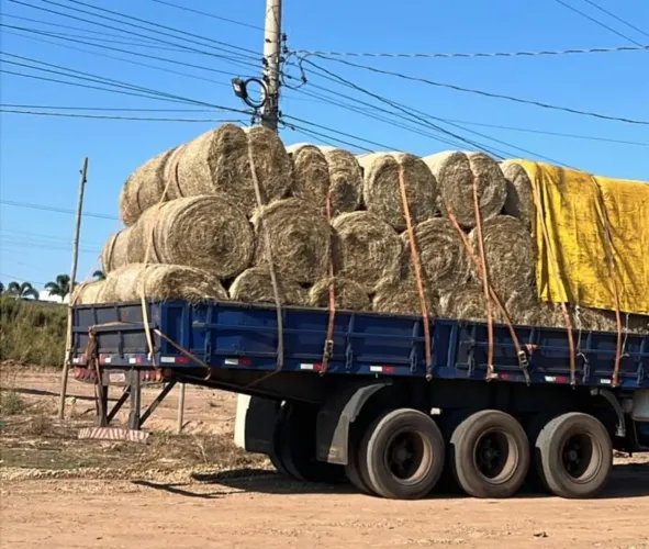 FENO DE TIFTON ROLO 150KG