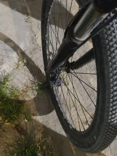 Bicicleta
