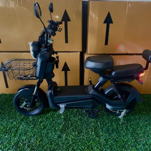 Bicicleta Elétrica 800w