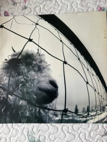 Vinil versus Pearl Jam