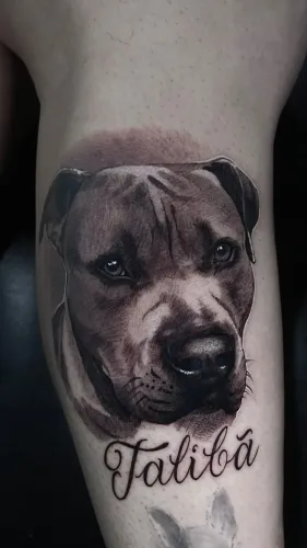 Tatuador Penha São Paulo 