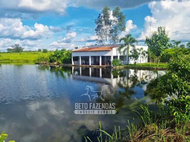 Imóvel para venda tem 13380000 metros quadrados em Área Rural de Gurupi - Gurupi - TO