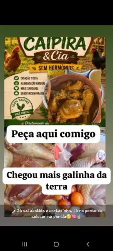 Galinha caipira já abatida