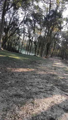 Chácara dos sonhos em Contenda Pr