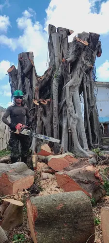  Poda de árvores, de alto risco 