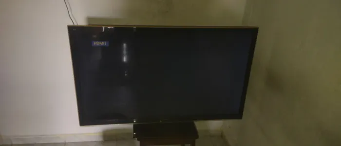 Televisão