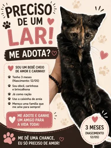 Gatinha para adoção! Preciso urgente de um lar com amor!