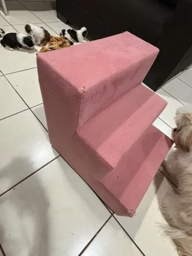 Escadinha para pet