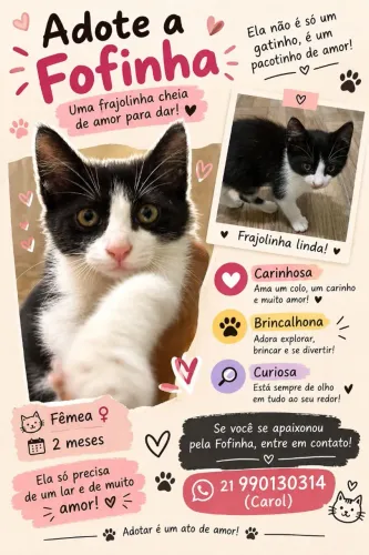 Adoção de Gatinha