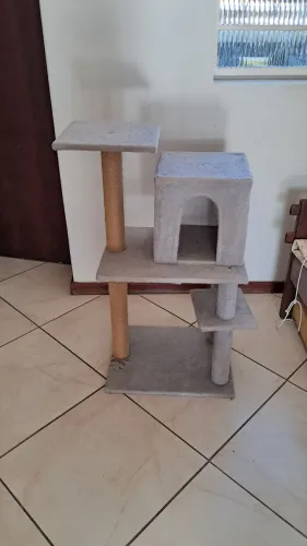 Pleiglate para gatos