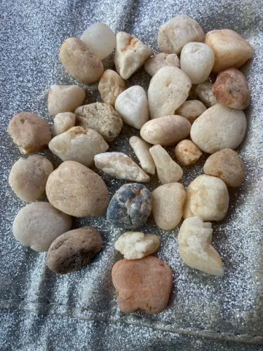 Xeixos sacos