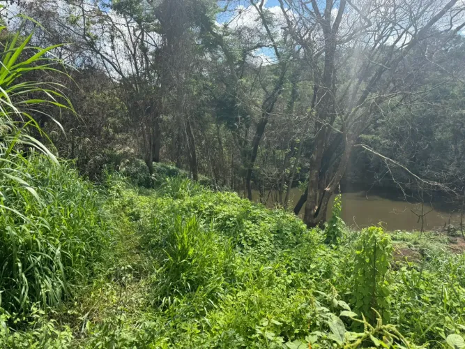 Terreno com área verde e acesso a lagoa