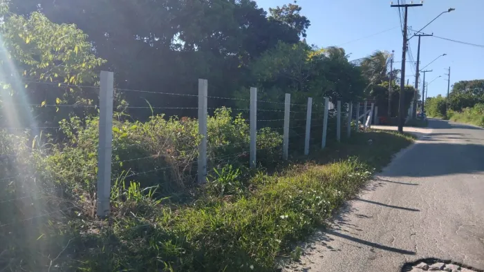 Mão de obra cerca de arame farpado