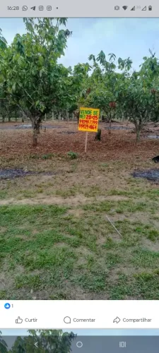 Terreno na Rio Preto da Eva 