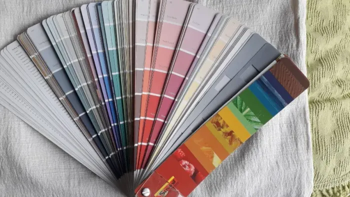 Leque catalogo de cores Completo Suvinil