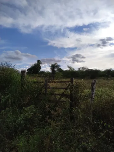 Terreno em Irará (três tarefas e meia).