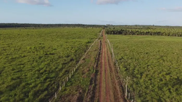 Fazenda Luxuosa 200 hectares
