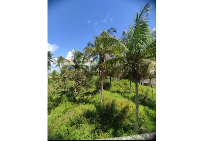 Terreno Alagoinhas/Aramari