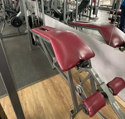 Mesa flexora