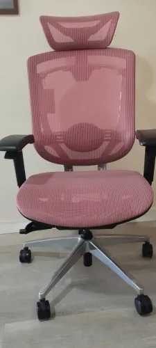DT3 Office Iryna V2 Rosa