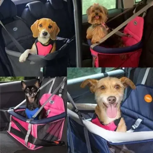 Cadeira de segurança para pet
