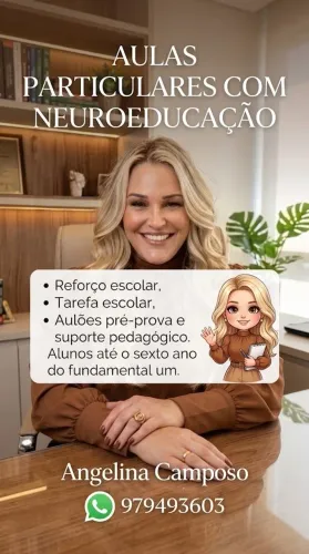 EXPLICADORA ONLINE E PRESENCIAL