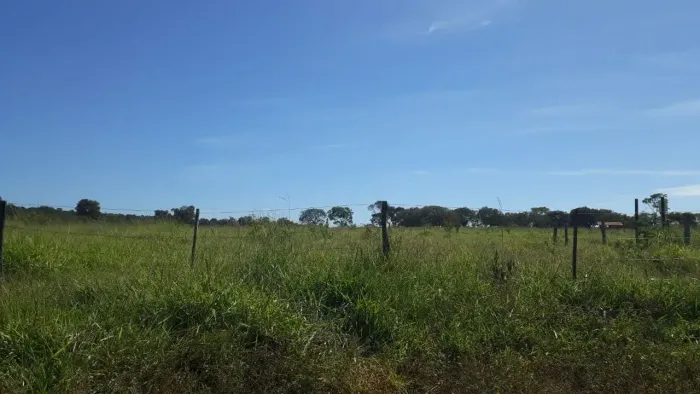 Lindas fazendinhas com  20000 metros quadrados em Zona Rural - Cordisburgo - MG
