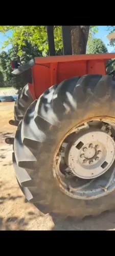 Trator massey ferguson 297 pronto pra trabalhar