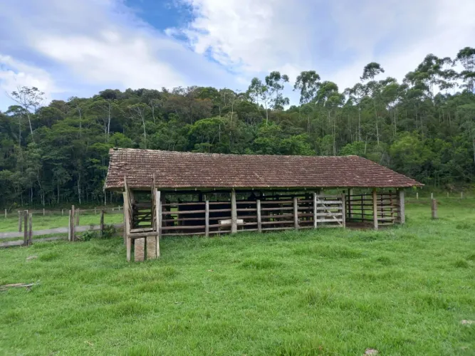 Sítio com 9,7 hectares no bairro Fazenda em Biguaçu