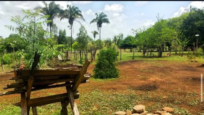 Vendo fazenda em Presidente Dutra