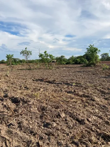 Fazenda no Mato Grosso área 269 hectares 