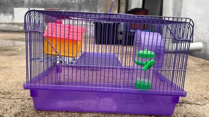 Gaiola hamster