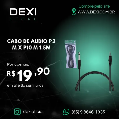 CABO DE ÁUDIO P2 M X P10 M 1.5M