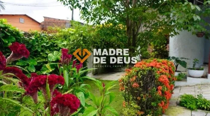 Excelente Casa no Pici