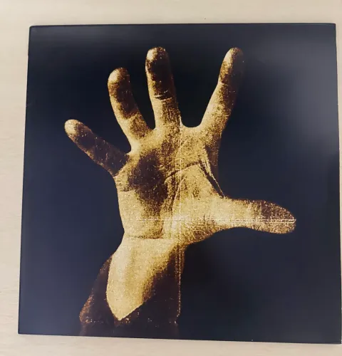 System of a Down Vinil 