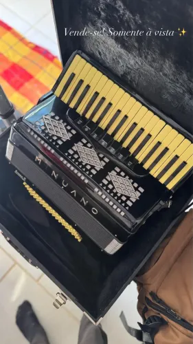 Acordeon Minuano 80 baixos